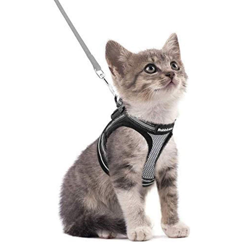 rabbitgoo Cat Harness and Leash Set for Walking Escape Proof, Adjustable Soft Kittens Vest with Reflective Strip for Cats, Comfortable Outdoor Vest, Grey, S - Image 1